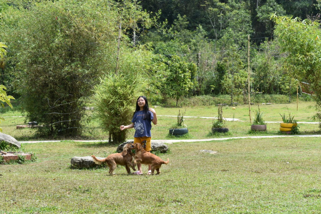 PET FRIENDLY HOMESTAY IN COORG. WETLAND HOMESATY IN COORG IS BEST FAMILY AND KIDS FRIENDLY HOMESTAY IN COORG